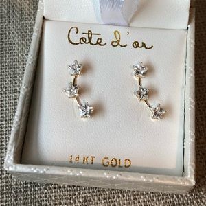 14kt Gold Climber Earrings